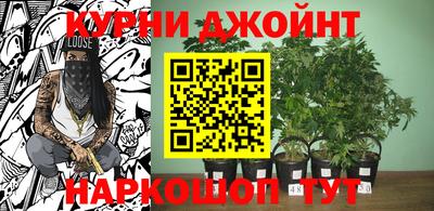 jwh Краснознаменск