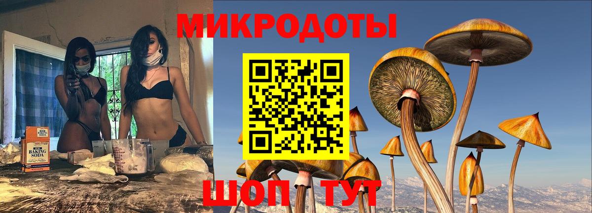 Галлюциногенные грибы Psilocybine cubensis Костомукша